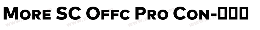 More SC Offc Pro Con字体转换